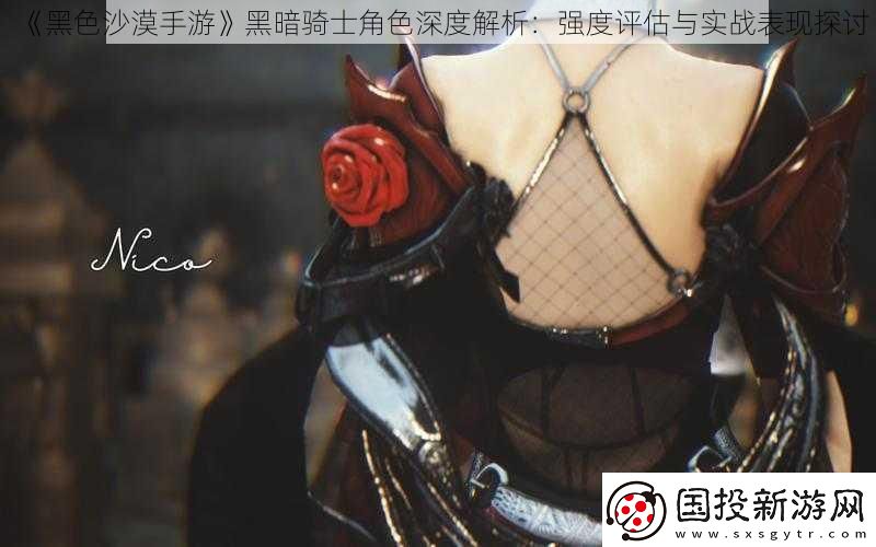 黑色沙漠手游黑暗騎士角色深度解析：強(qiáng)度評估與實戰(zhàn)表現(xiàn)探討