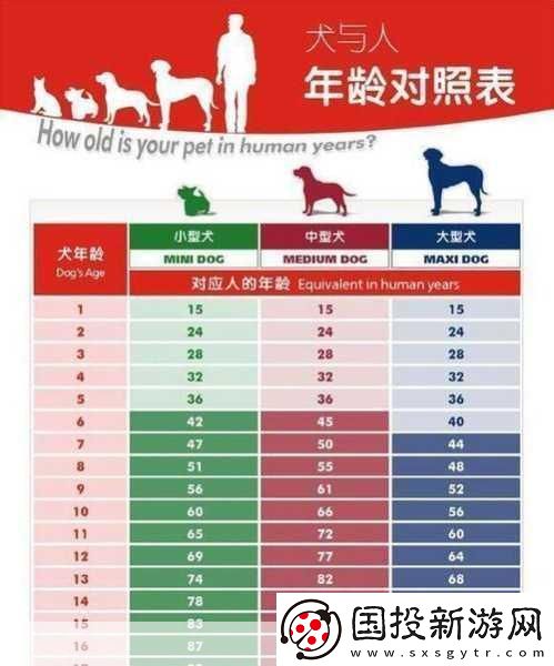 人狗膠配方大全狗狗一-1.-探索多樣人狗膠配方-助力愛犬健康成長