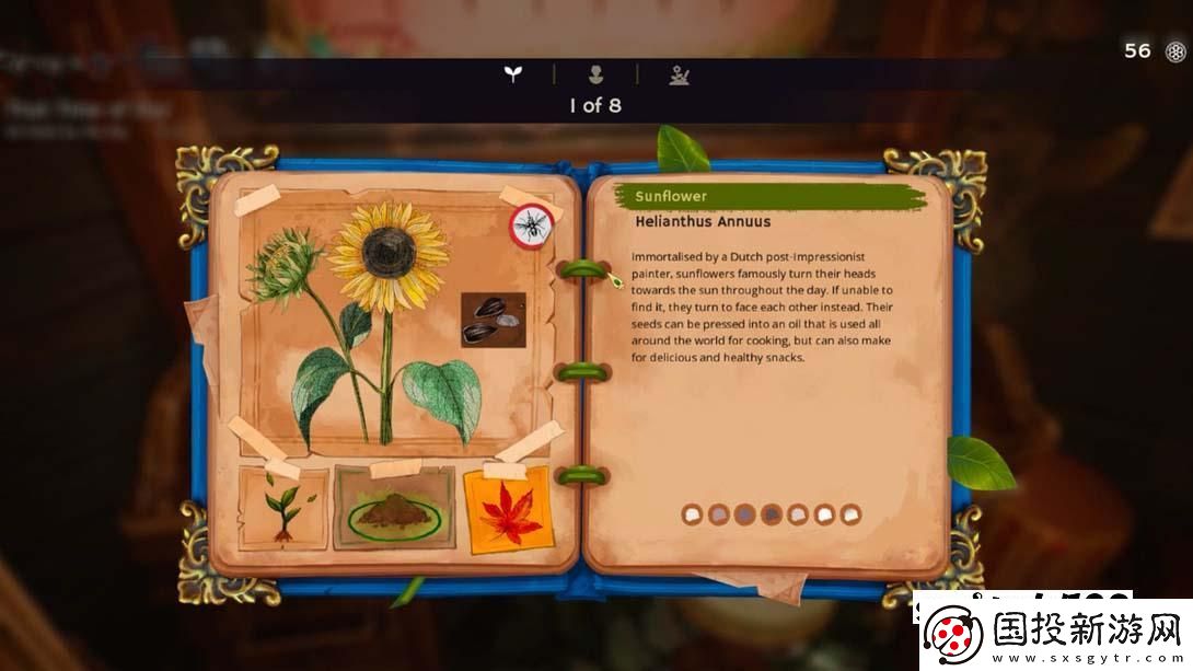 【美版】花園生涯