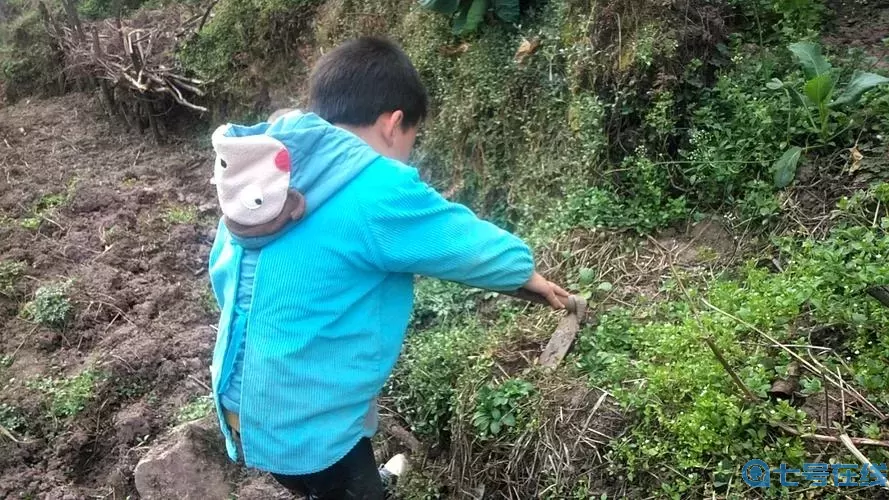 挖土小能手不用看廣告