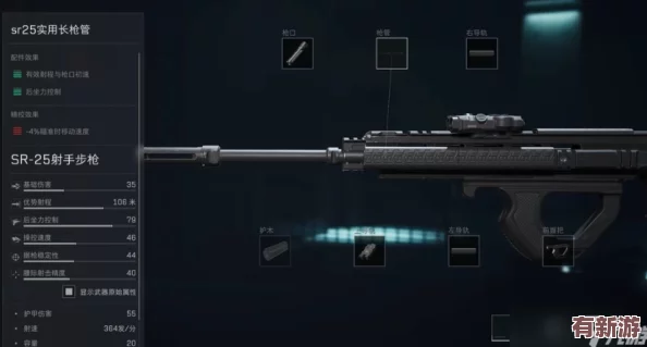 三角洲精英SR25實(shí)戰(zhàn)效能全維剖析