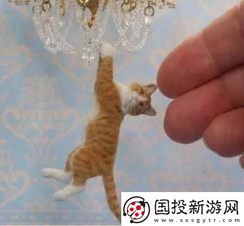 時間之神的貓210攻略路線詳情：通關(guān)技巧與策略解析