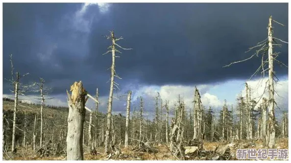 探索寵物石頭的隱秘弱點(diǎn)：水、酸雨與劇烈溫差——三大自然天敵全解析