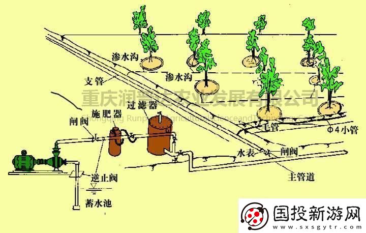 蘇軟軟的灌溉奇遇：水流的魔術(shù)-農(nóng)田的狂歡
