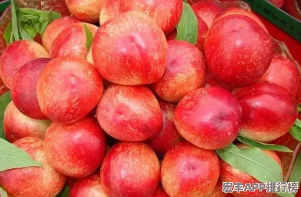 和平精英SS22賽季開啟時間揭曉：預(yù)計3月27日迎接全新田園風(fēng)格主題