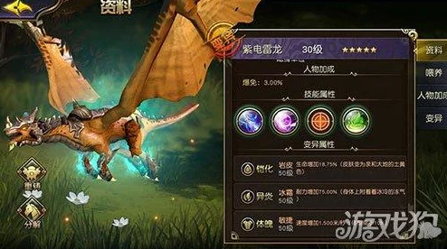 太極熊貓裝備強(qiáng)化指南