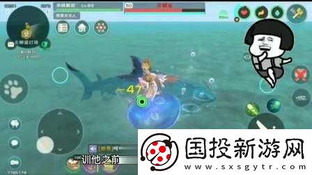 創(chuàng)造與魔法灰鯖鯊幾級可以抓-這個問題你需要知道