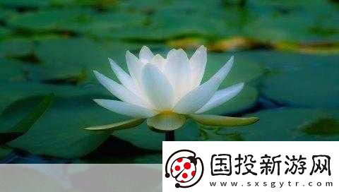 女人晚上蓮花開(kāi)的害處：1.-女性夜間蓮花開(kāi)：對(duì)健康的潛在影響