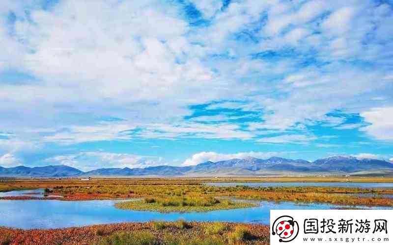 愛(ài)琴海獨(dú)家提供實(shí)用路線(xiàn)站：暢享優(yōu)質(zhì)路線(xiàn)規(guī)劃