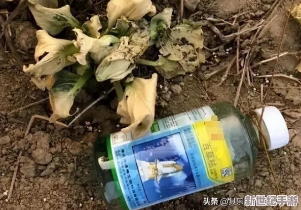 探索致命解藥存檔點(diǎn)