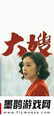 女婿槍槍有力