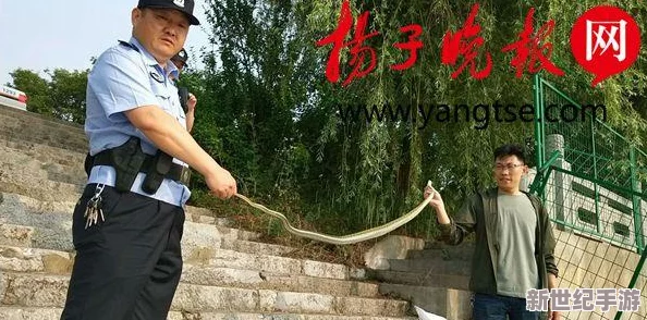 黑神話悟空：揭秘蛇巡司影神圖——一部詳盡的奇幻世界蛇類巡查指南