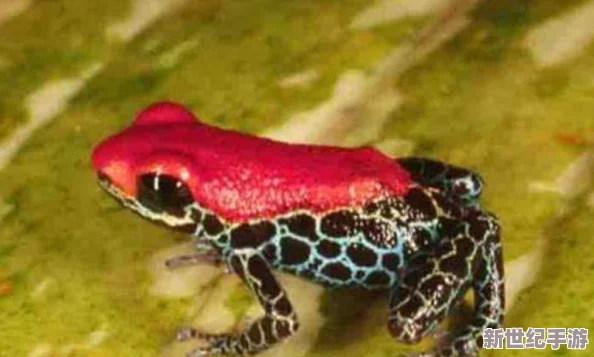 探索致命解藥存檔點(diǎn)