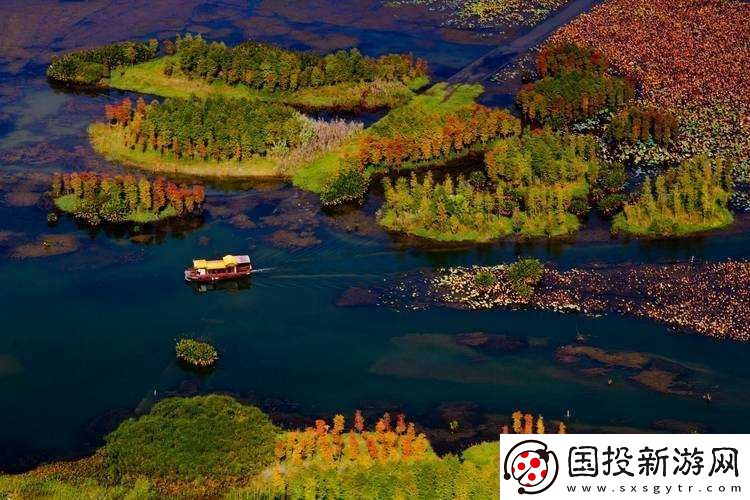 中國(guó)高清-windows-視頻軟件：暢享視覺盛宴