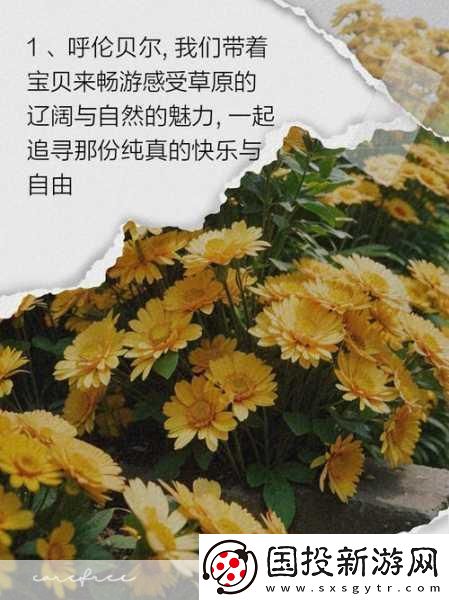 一起草國：1.-草原之夢：國土擴(kuò)展的新篇章