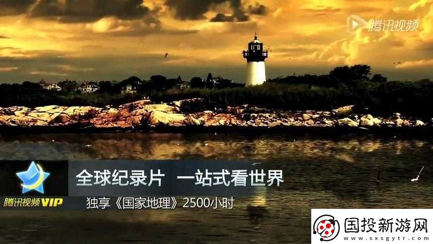 國際免費-b-站：帶你暢享精彩視頻世界