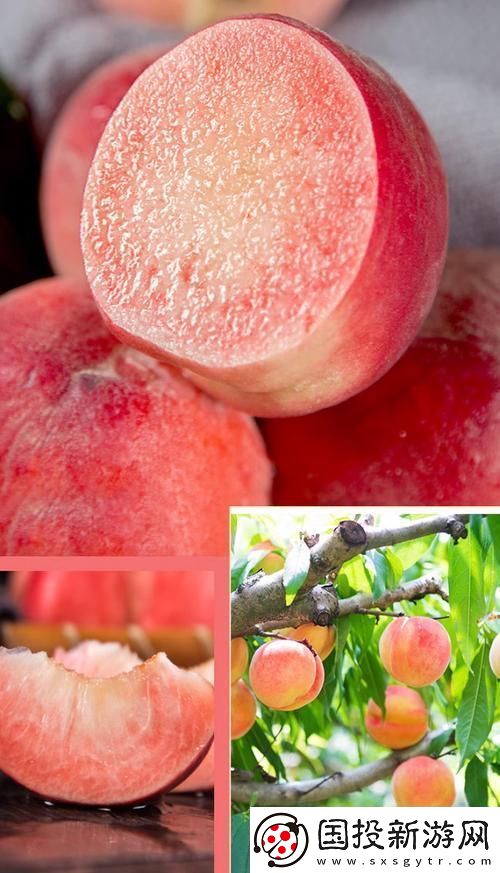 桃醉意國界的新晉紅！