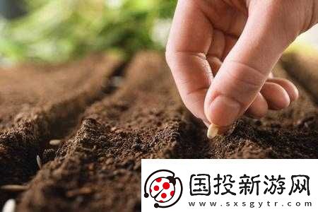 耕種媽媽肥沃的土地：一段獨(dú)特的田園經(jīng)歷