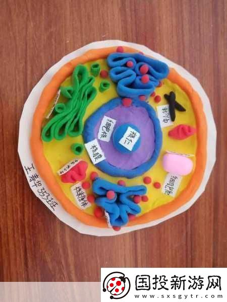 我成了生物課的教具-當(dāng)然可以！以下是一些與生物課教具相關(guān)的