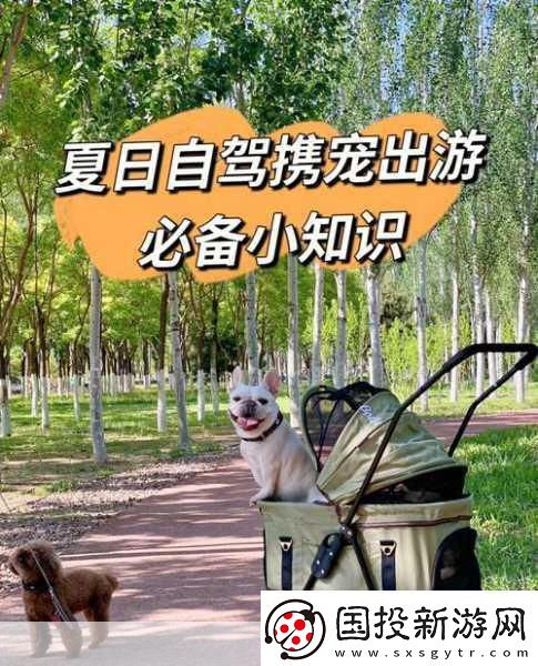 小汪汪攜寵漫步新體驗-驚喜連連-散步玩法全面進化