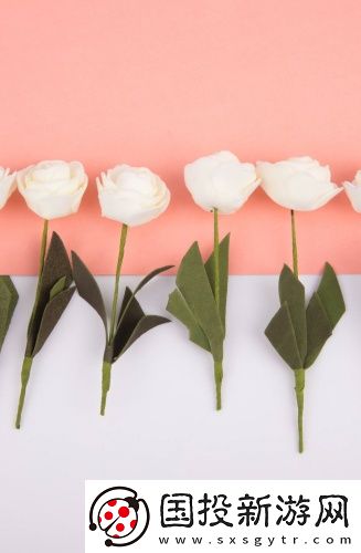 18視頻免費網(wǎng)站經(jīng)典版